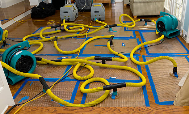 Professional Storm Water Damage Restoration technician working in New Weston, OH
